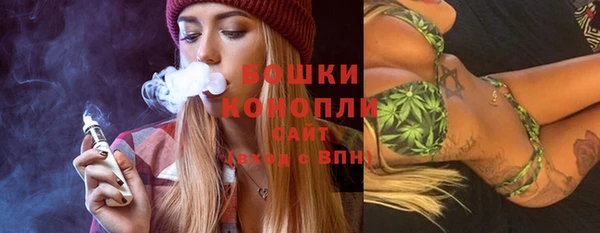 индика Балабаново