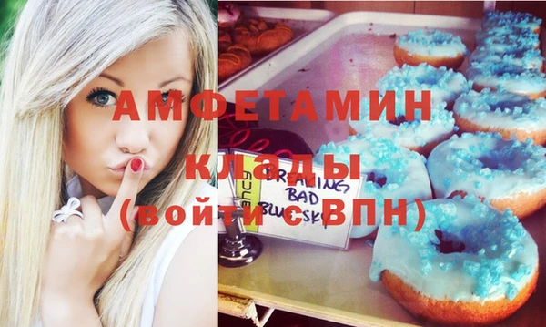 индика Балабаново