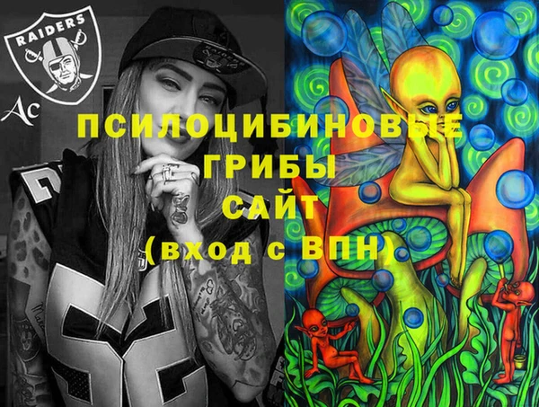 индика Балабаново