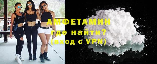 индика Балабаново
