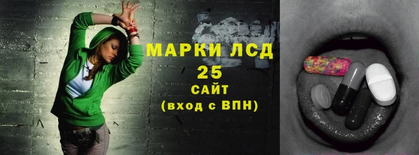 индика Балабаново