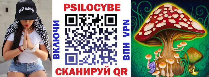 Галлюциногенные грибы Cubensis  Купить  Кудымкар 